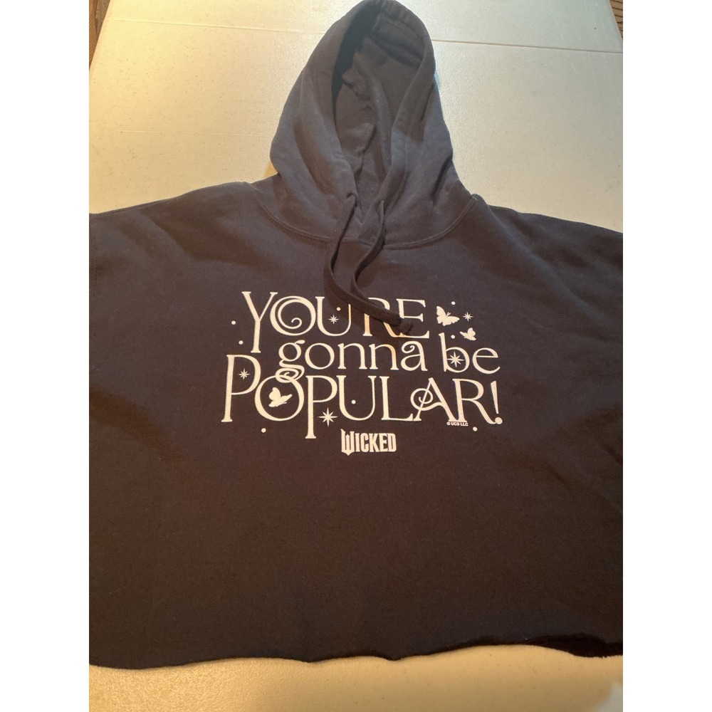 Lane Seven Wicked Movie Popular Graphic Cropped Hoodie Black Medium LS12000
